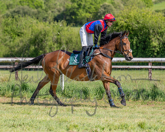 Race 5 - Restricted (35 of 151)