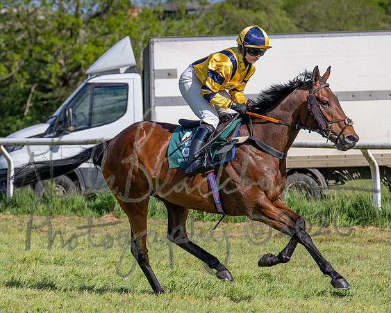 Race 5 - Restricted (39 of 151)