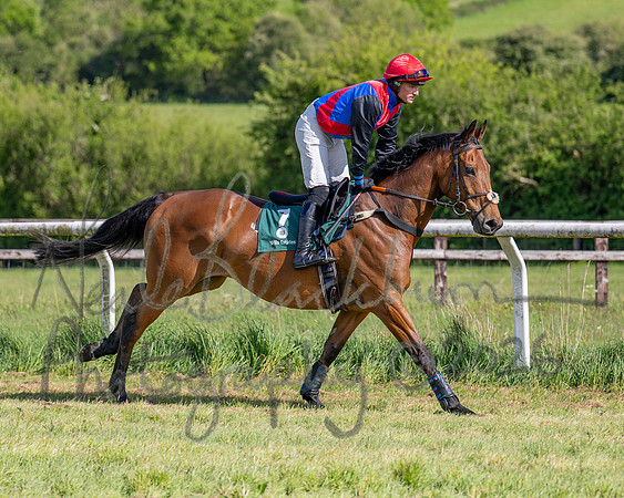 Race 5 - Restricted (36 of 151)