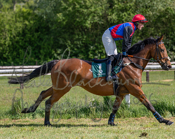 Race 5 - Restricted (37 of 151)