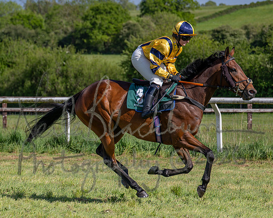 Race 5 - Restricted (40 of 151)