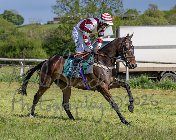 Race 5 - Restricted (44 of 151)