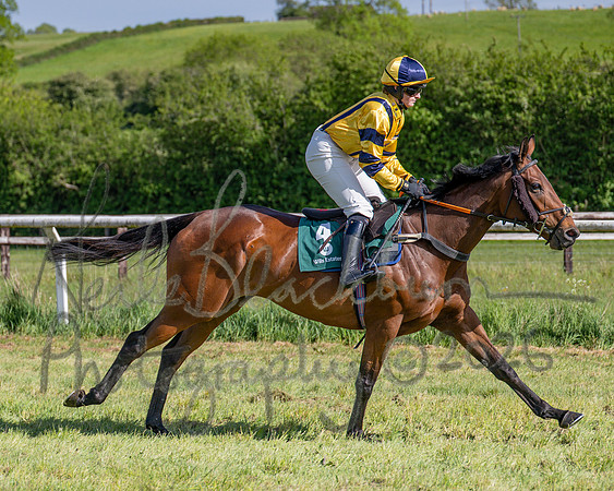 Race 5 - Restricted (41 of 151)