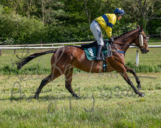 Race 5 - Restricted (42 of 151)