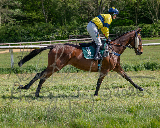 Race 5 - Restricted (43 of 151)