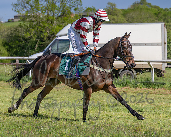 Race 5 - Restricted (45 of 151)