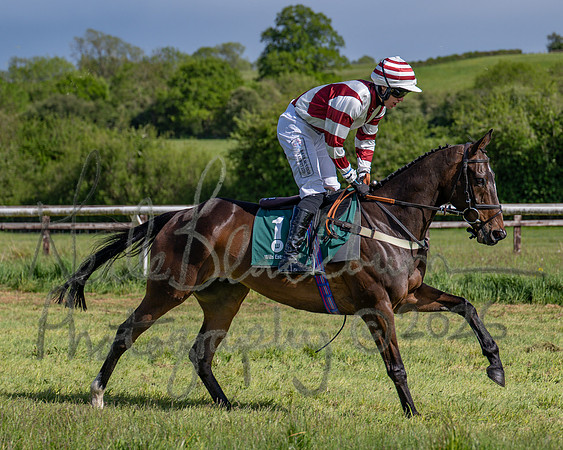 Race 5 - Restricted (47 of 151)