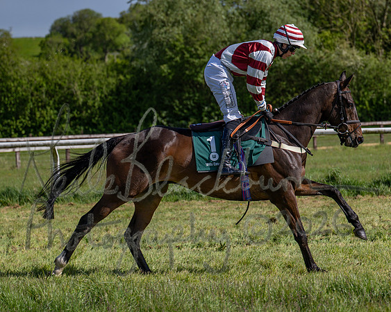 Race 5 - Restricted (49 of 151)