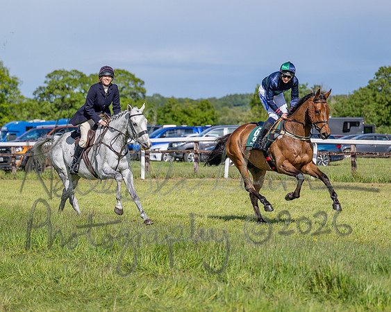 Race 5 - Restricted (51 of 151)