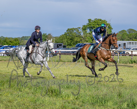 Race 5 - Restricted (52 of 151)