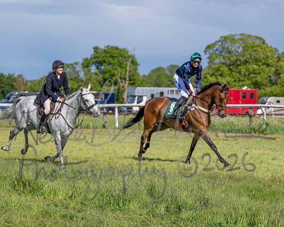 Race 5 - Restricted (53 of 151)
