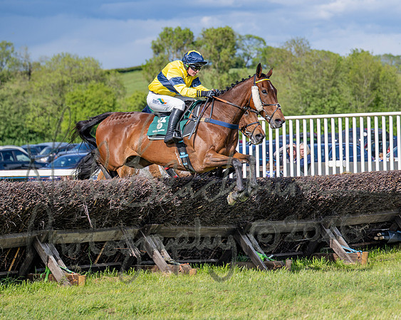 Race 5 - Restricted (66 of 151)