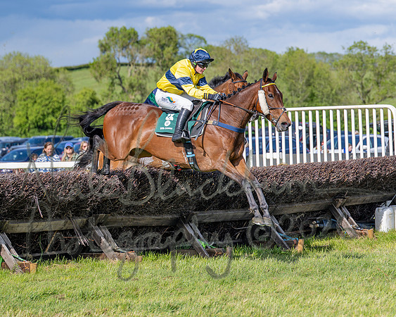 Race 5 - Restricted (67 of 151)
