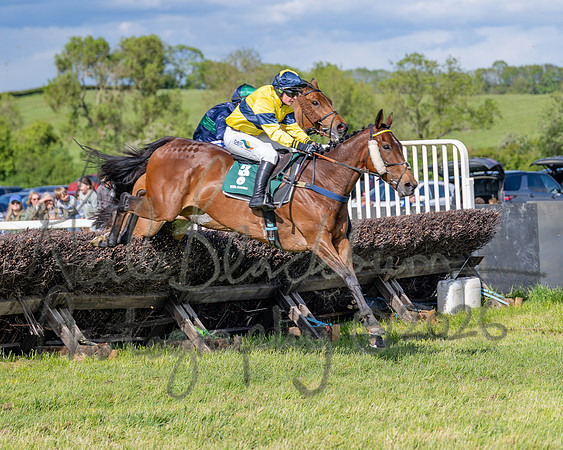 Race 5 - Restricted (68 of 151)