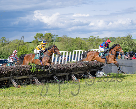 Race 5 - Restricted (71 of 151)