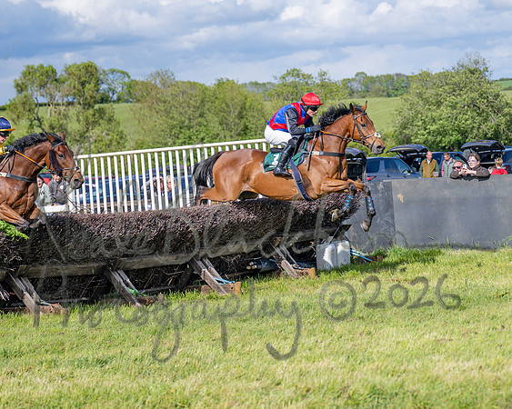 Race 5 - Restricted (70 of 151)