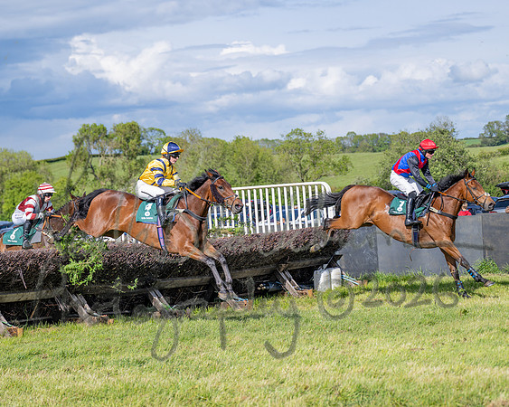 Race 5 - Restricted (72 of 151)