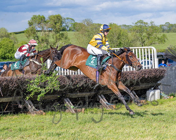 Race 5 - Restricted (73 of 151)
