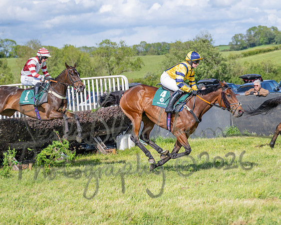Race 5 - Restricted (74 of 151)