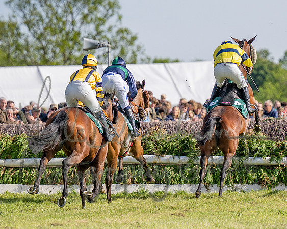 Race 5 - Restricted (76 of 151)