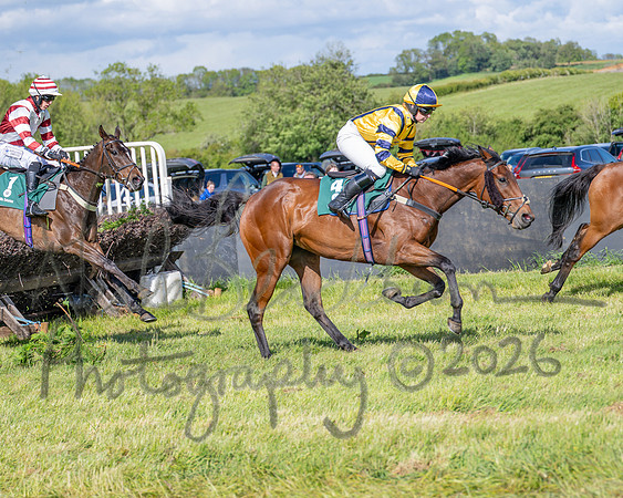 Race 5 - Restricted (75 of 151)