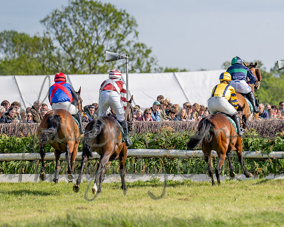 Race 5 - Restricted (78 of 151)