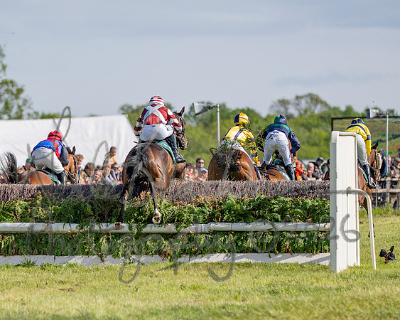Race 5 - Restricted (80 of 151)