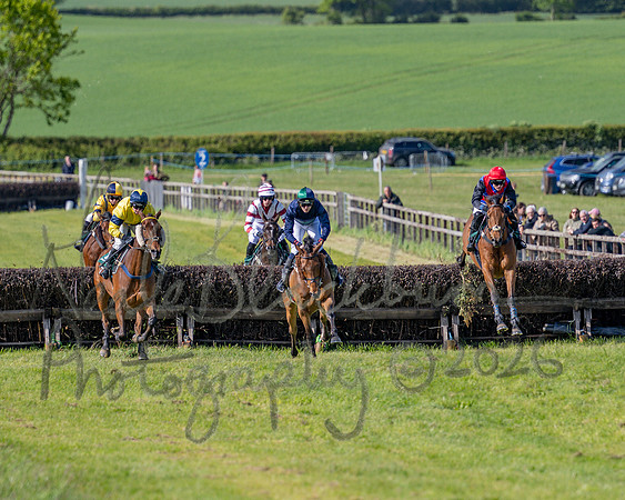 Race 5 - Restricted (85 of 151)