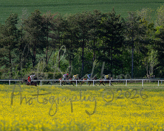 Race 5 - Restricted (84 of 151)