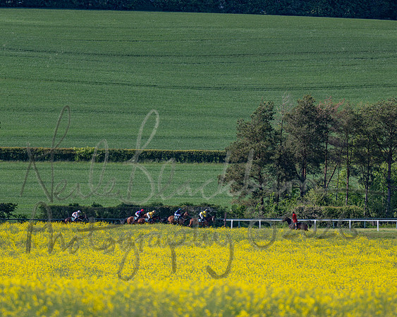 Race 5 - Restricted (82 of 151)