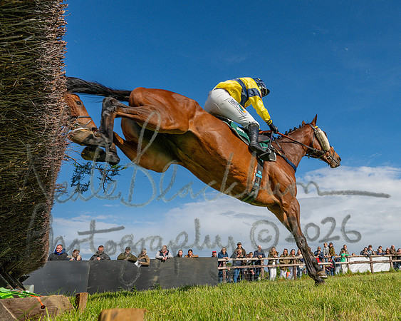 Race 5 - Restricted (81 of 151)