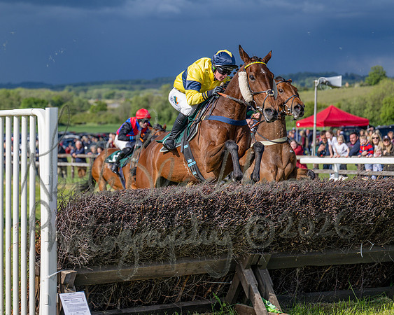 Race 5 - Restricted (91 of 151)