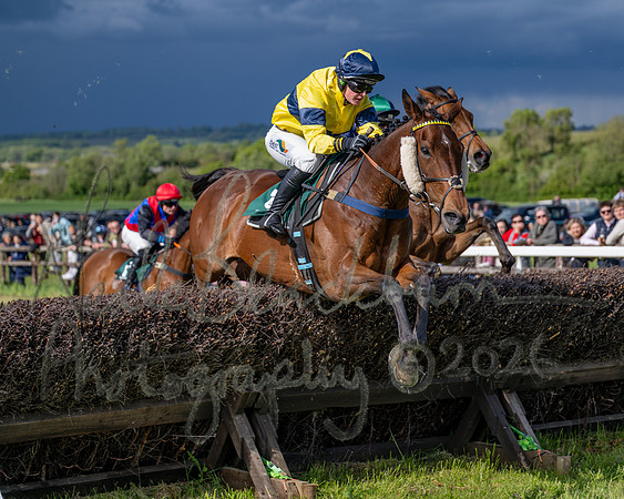 Race 5 - Restricted (93 of 151)