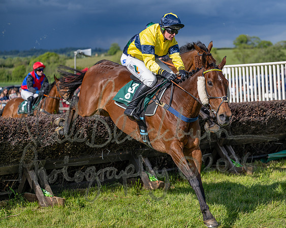 Race 5 - Restricted (95 of 151)