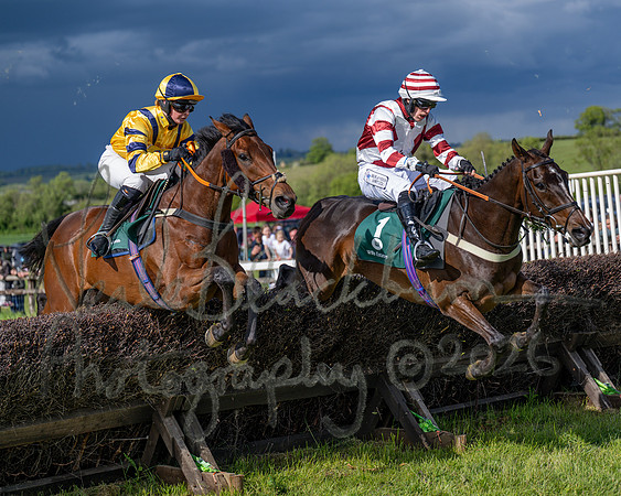 Race 5 - Restricted (97 of 151)