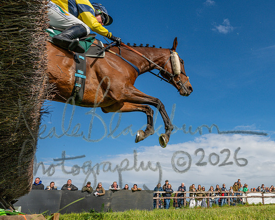 Race 5 - Restricted (99 of 151)