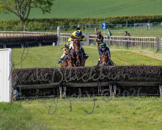 Race 5 - Restricted (104 of 151)