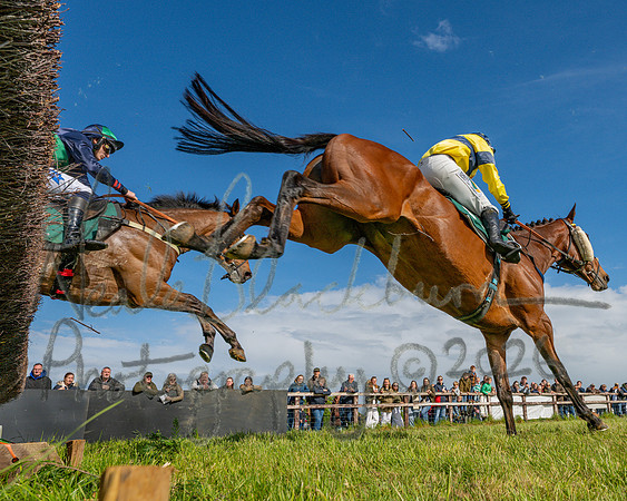 Race 5 - Restricted (101 of 151)