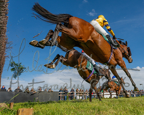 Race 5 - Restricted (103 of 151)