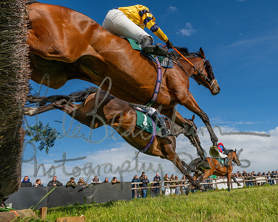 Race 5 - Restricted (102 of 151)