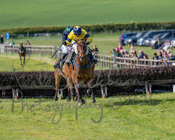 Race 5 - Restricted (109 of 151)