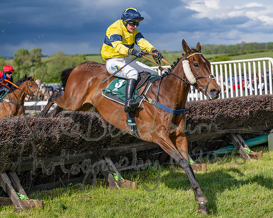Race 5 - Restricted (115 of 151)