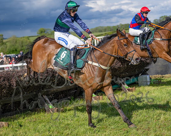 Race 5 - Restricted (119 of 151)