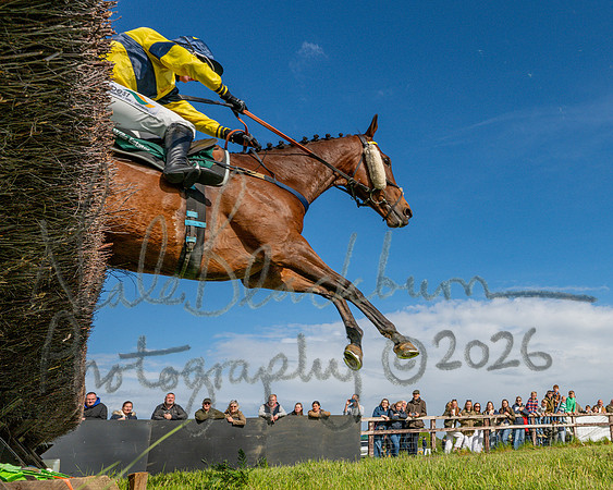 Race 5 - Restricted (120 of 151)