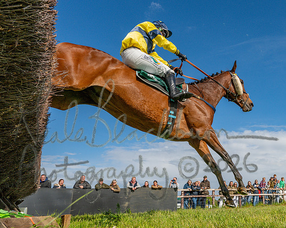 Race 5 - Restricted (121 of 151)
