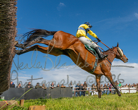 Race 5 - Restricted (122 of 151)