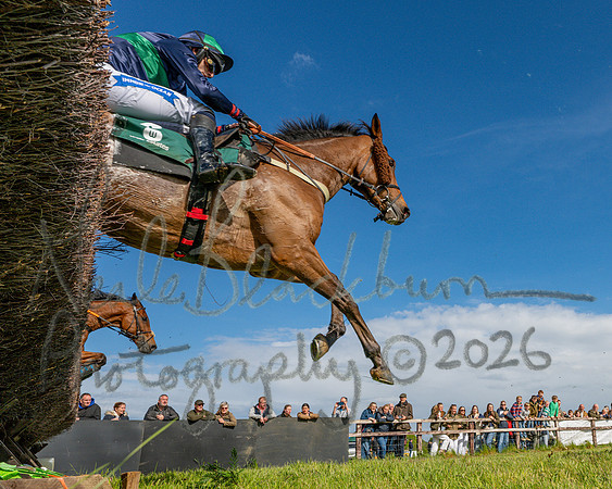 Race 5 - Restricted (123 of 151)