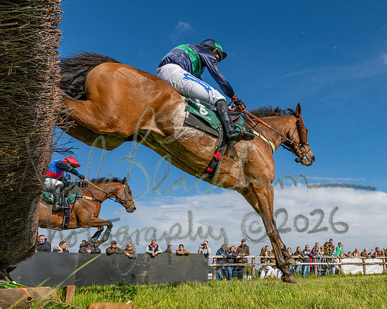 Race 5 - Restricted (124 of 151)