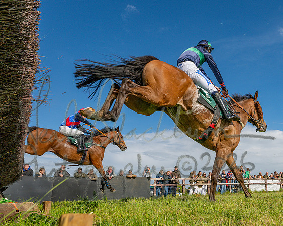 Race 5 - Restricted (125 of 151)