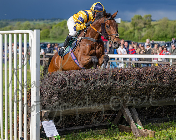 Race 5 - Restricted (126 of 151)